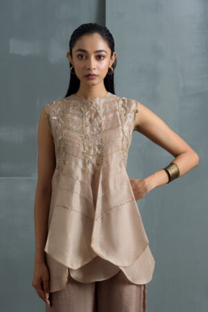 Silk Organza Hand Embroidered Top