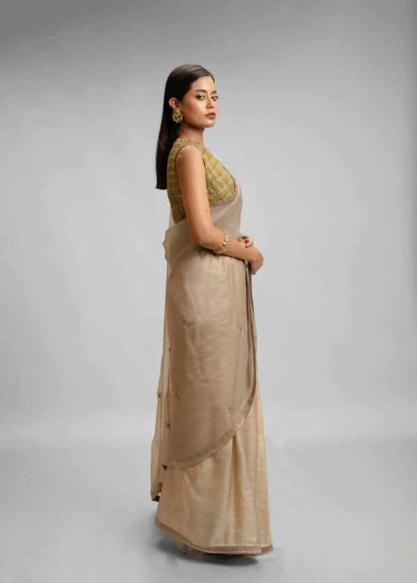Silk Organza Saree Set