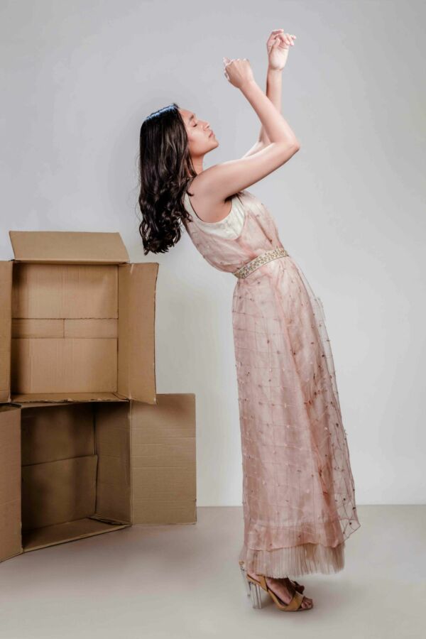 Textured Organza Layered Dress