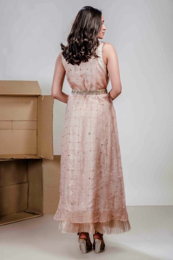 Textured Organza Layered Dress