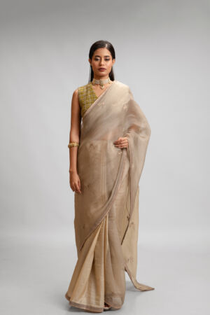 Silk Organza Saree Set