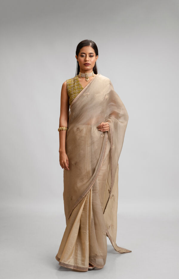 Silk Organza Saree Set
