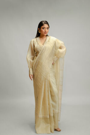 Tussar Silk And Organza Saree Set