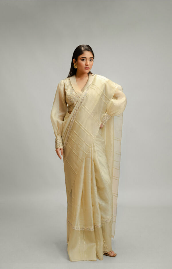Tussar Silk And Organza Saree Set