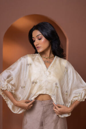 Tussar Silk Embrodered Top